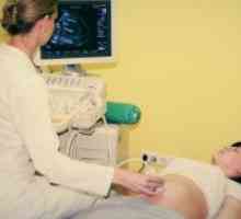 Ultrazvuk fetusa u 16 tjedna