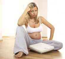 Težina fetusa u nedelju trudnoće