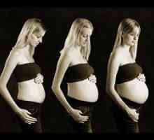 Trbuh raste tokom trudnoće