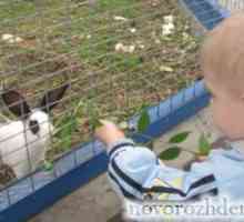 Djecu upoznaje sa životinjama