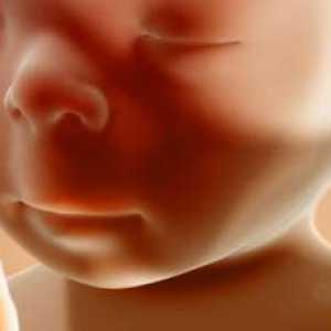 34. Tjedan trudnoće - start priprema za porođaj