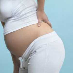 35 Tjedna trudna: senzacija