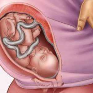 35 Tjedna trudnoće: beba težina