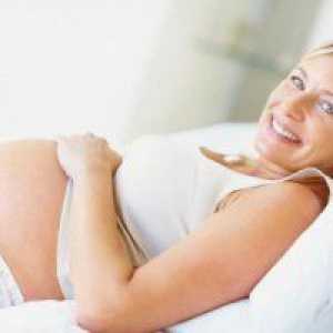 9 Tjedana trudnoće