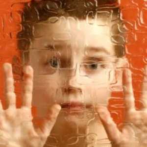 Autizam kod djece. Uzroci, simptomi i liječenje djece s autizmom