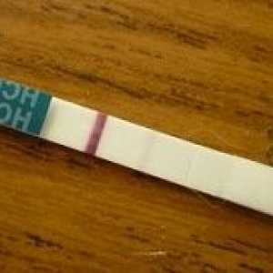 Pale pruga na test trudnoće