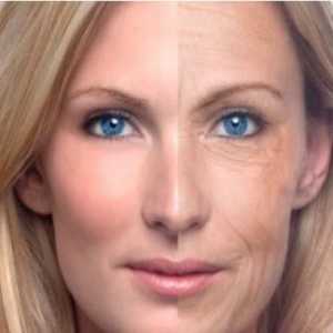 Domaći lica za njegu kože. procedure tips