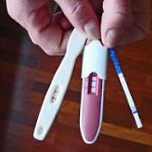 Double test na trudnoću