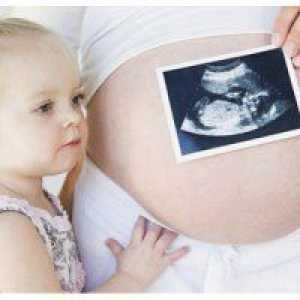 Kakav je to osjećaj fetus je 32 tjedna trudna?