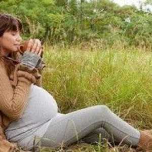 Ono što biljke mogu koristiti u trudnoći?