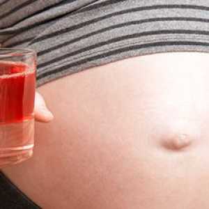 Šta sokovi su korisni u trudnoći