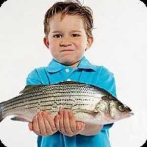 Kakav ribe mogu dati svoje dijete?
