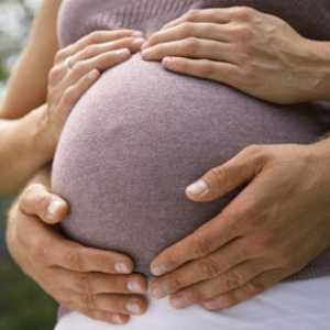 Kada se trbuh počne da raste tokom trudnoće?