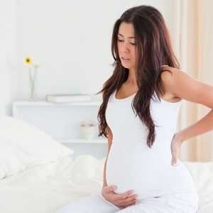 Kontrakcije - šta senzaciju trudnica čeka čudo