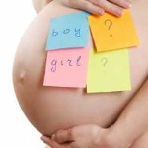Kada stomak tokom trudnoće?