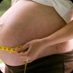 Kada trudnoća trbuh počinje rasti?