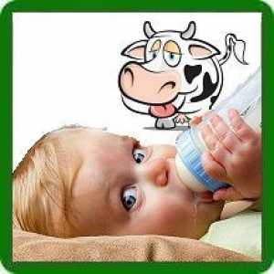 Kravlje mlijeko za dojenčad