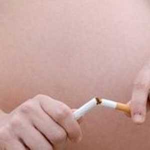 Pušenje u ranoj trudnoći