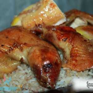 Piletina punjena sa rižom