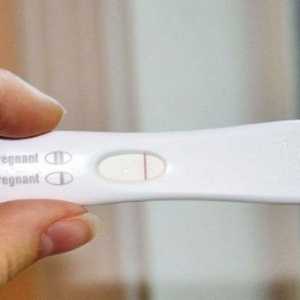 Kog dana nakon začeća, trudnoće test pokazuje