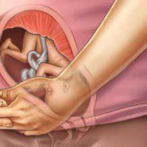 Normalno težina fetusa u 27 tjedna trudnoće