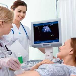 Norme CTE fetus od nedelje trudnoće