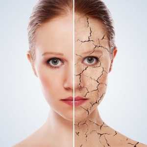 Karakteristike njegu suhe kože lica