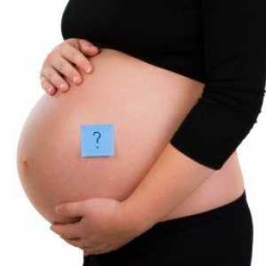 Papiloma tokom trudnoće: ne diraj problema dok se tiho?
