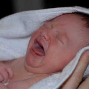 Bebe koja plače nakon kupanja: pravilo ili odstupanje?