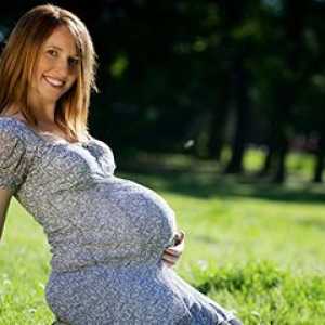Zašto ne mogu dobiti nervozan tokom trudnoće