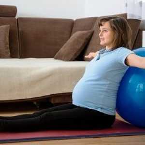 Korisni vježbe u trudnoći