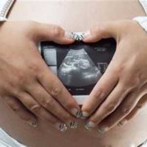 Malformacije fetusa: uzroci, vrste i dijagnoza