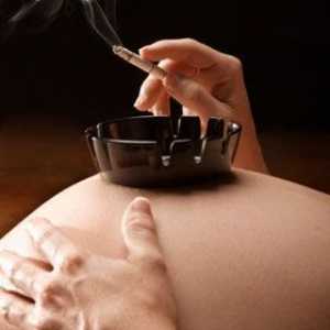 Efekti pušenja u trudnoći