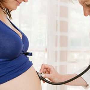 Registracija trudnoće: važne tačke