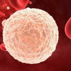 Povišen broj belih krvnih zrnaca u djeteta: uzroci i tretman