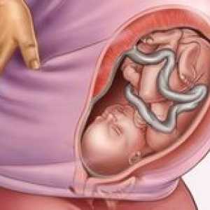 Lokacija fetusa tokom trudnoće