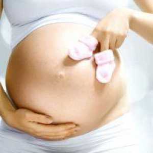 Razvoj trudnoće: 28 tjedna