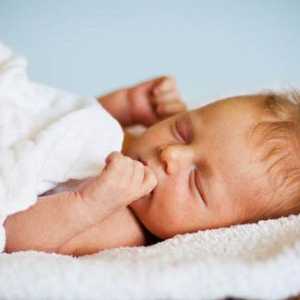Razvoj novorođenčadi