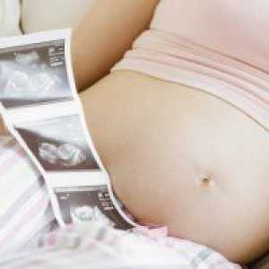 Razvoj fetusa u 35 tjedna