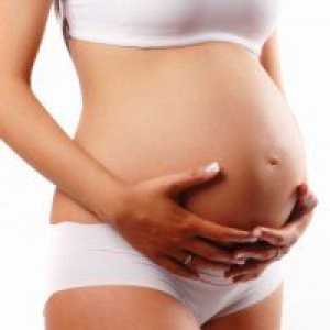 Razvoj fetusa u 36 tjedna