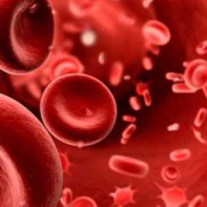 ESR u krvi djeteta: norma i patologija