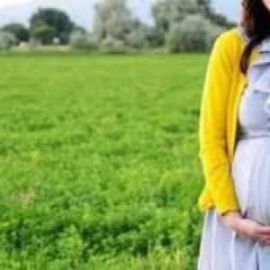 Povlači želudac 39 tjedna trudna