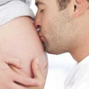 Sudjelovanje u budućim trudnoćama tate