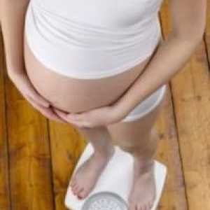 Težina u trudnoći