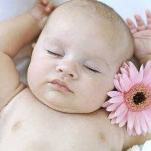 Dječje zdravlje: šta da radim ako novorođenče natečene grudi?