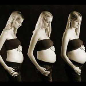 Trbuh raste tokom trudnoće